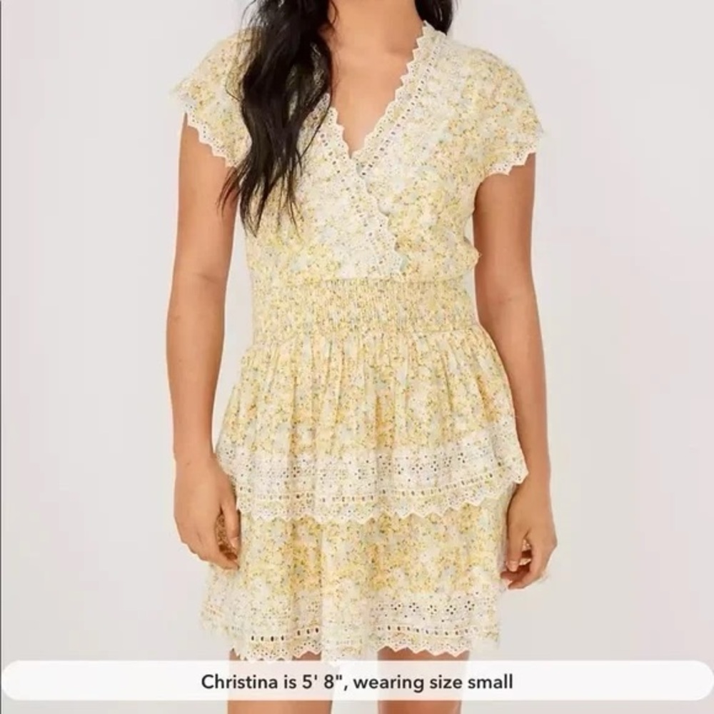 American Eagle Outfitters Yellow Floral Lace Dress